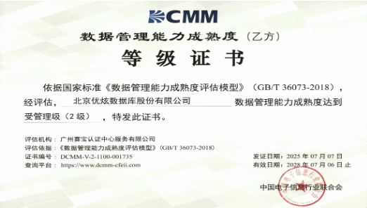 DCMM数据管理能力成熟度二级